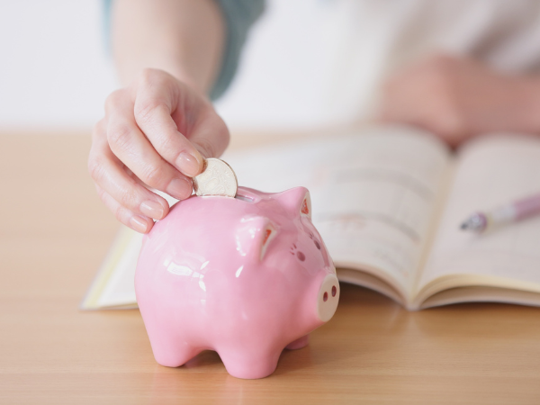 Caderno Financeiro: sistema digital ajuda a organizar contas, metas e investimentos em um único painel