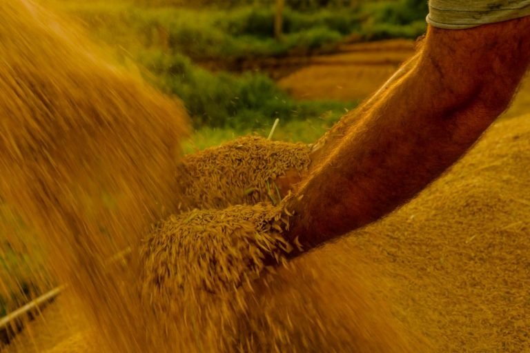 Governo reserva R$ 925 milhões para enfrentar efeitos do El Niño
