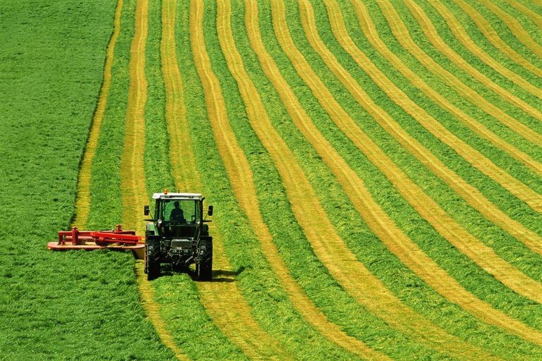 Atividade Econômica avança 0,6% em fevereiro e atinge maior nível da série histórica