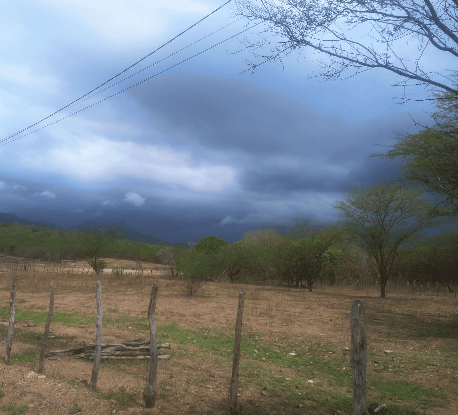 BONITO PRA CHOVER